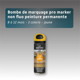 Bombe de marquage pro marker non fluo peinture permanente - 8 à 12 mois - 3 coloris