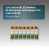 Lot 12 bombes écologiques à la craie