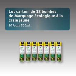 Lot 12 bombes écologiques à la craie