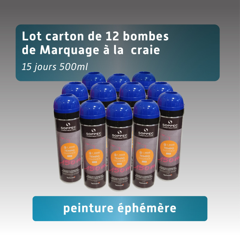 Lot 12 bombes de peinture éphémère 15 jours - 3 couleurs - couleur unique Lot 12 bombes de peinture éphémère 15 jours - 3 couleurs - couleur unique