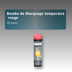 Bombe peinture marquage au sol temporaire 30j - 7 couleurs