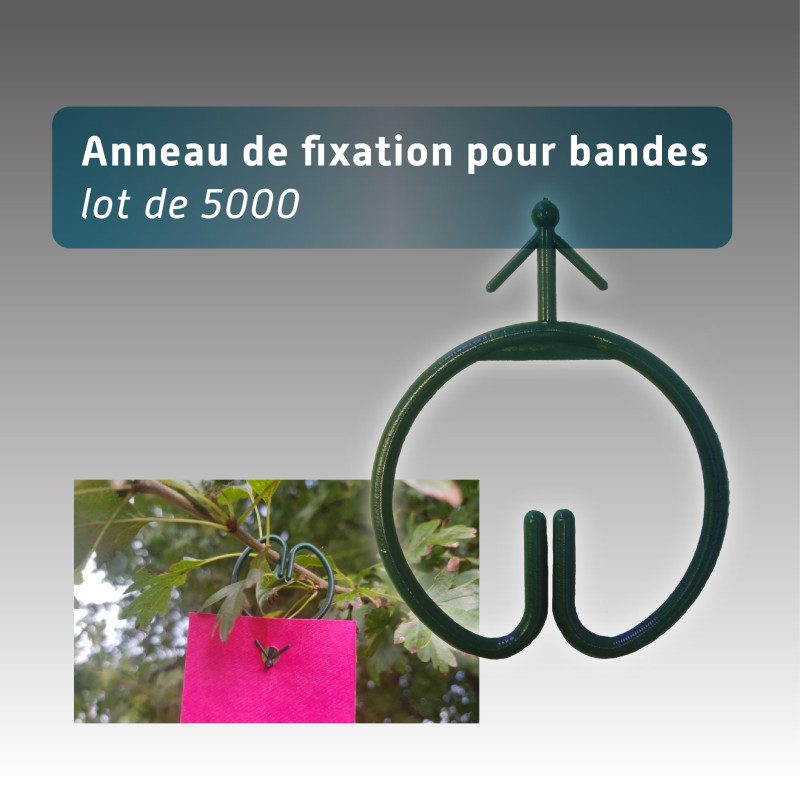 Lot 5000 anneaux pour bande ruban réutilisable