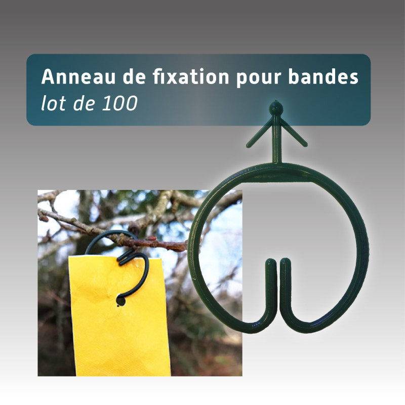 Lot 100 anneaux pour bande ruban réutilisable Lot 100 anneaux pour bande ruban réutilisable