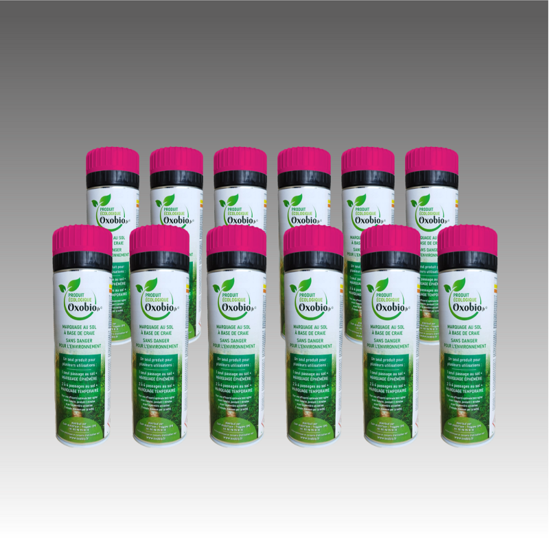 Lot carton de 12 bombes de Marquage écologique à la craie éphémère30 jours 500ml - couleur unique