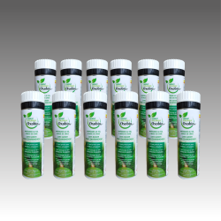 Lot carton de 12 bombes de Marquage écologique à la craie éphémère30 jours 500ml - couleur unique