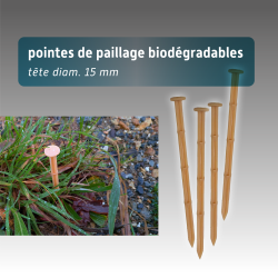 Pointes de paillage végétales Amidopic | 100% biodégradables