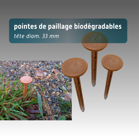 Pointes de paillage végétales Amidopic | 100% biodégradables