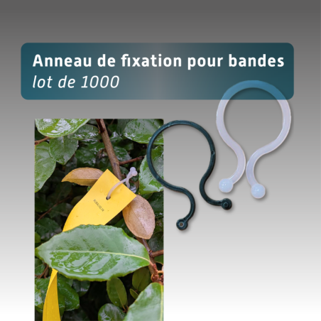 Anneau pour bande de rubalise réutilisable - lot de 1000