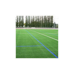 Bombe de marquage tracing sport peinture temporaire pour gazon - 3 à 6 mois - 6 coloris