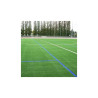 Bombe de marquage tracing sport peinture temporaire pour gazon - 3 à 6 mois - 6 coloris