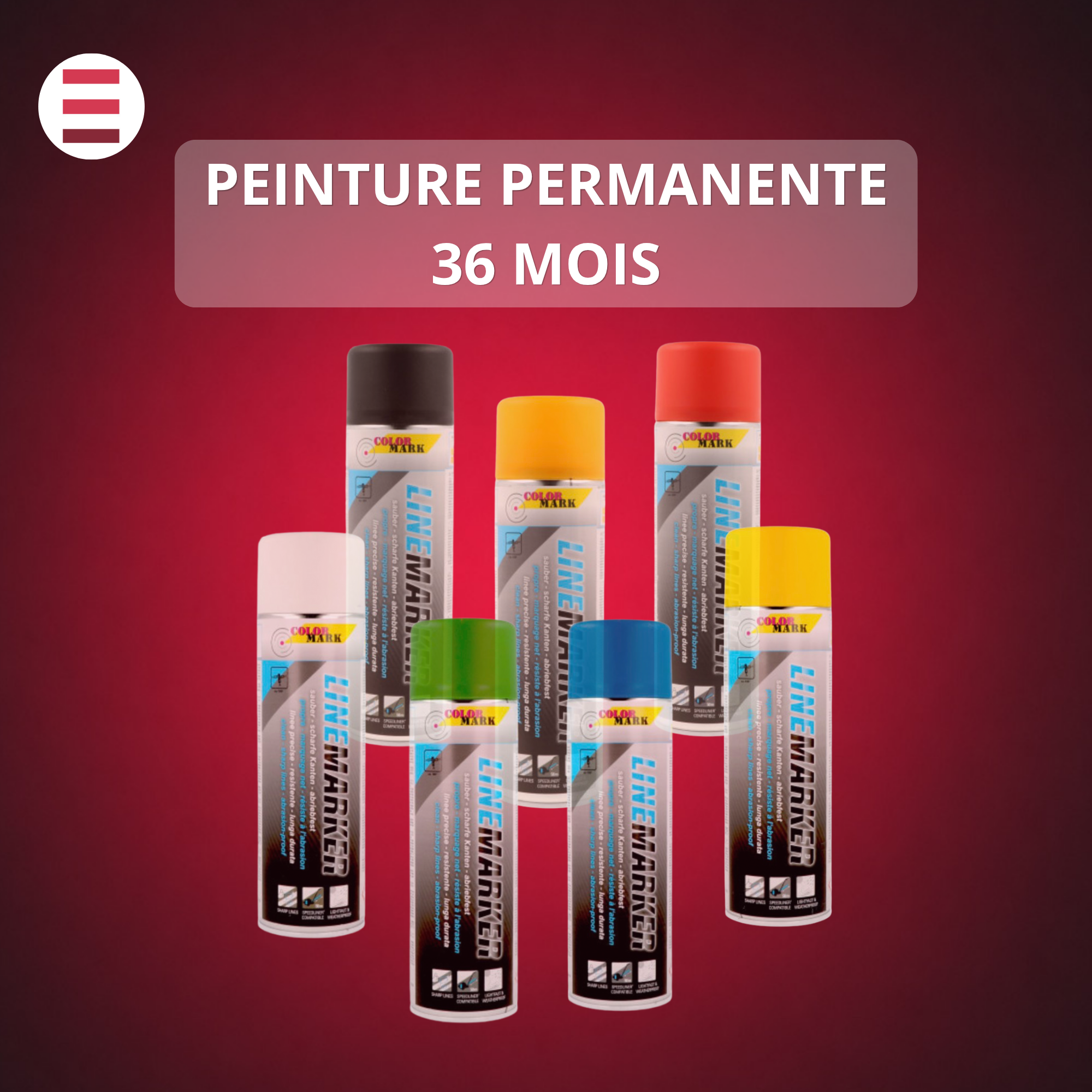 PEINTURE PERMANENTE 36 MOIS