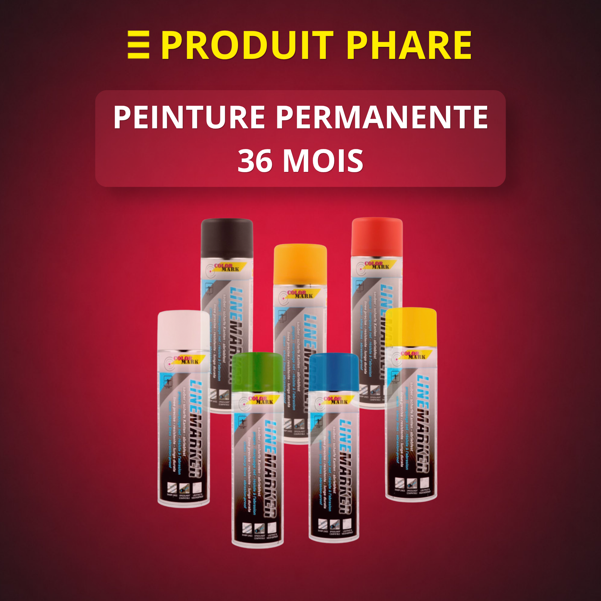 PEINTURE PERMANENTE 36 MOIS